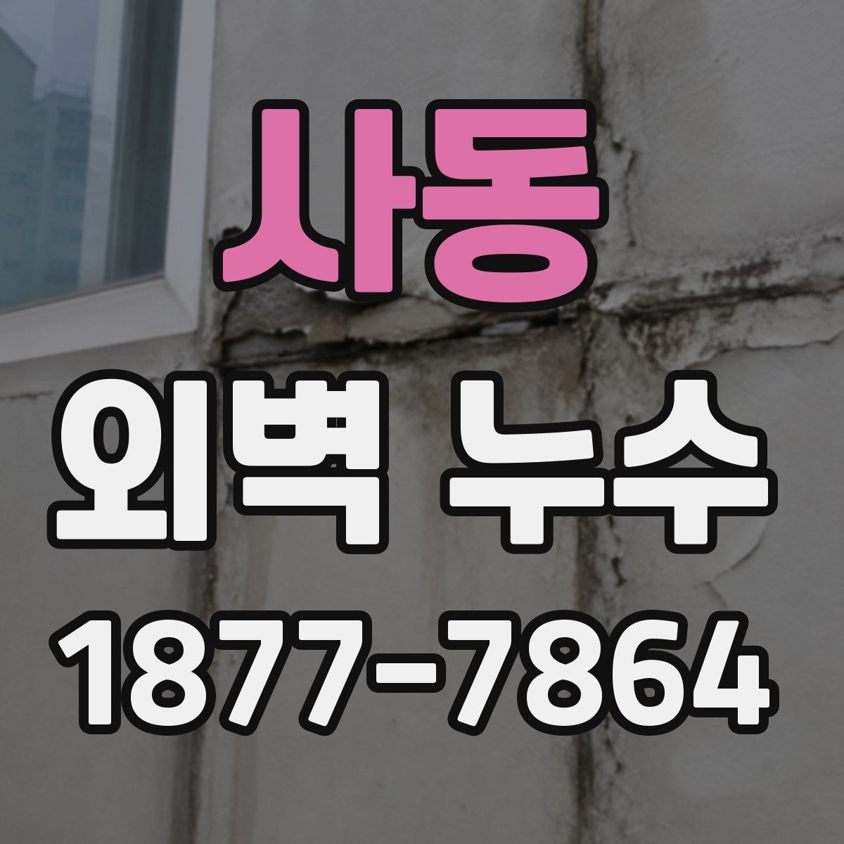 사동 외벽 누수
