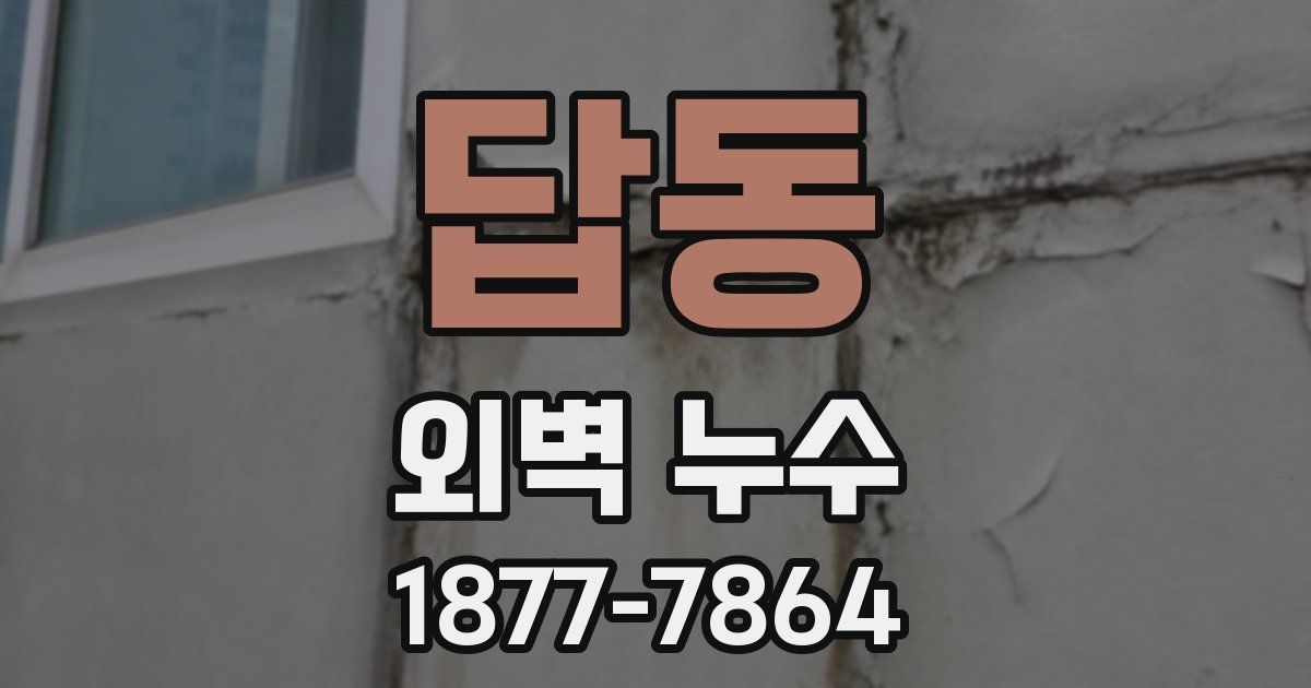 답동 외벽 누수