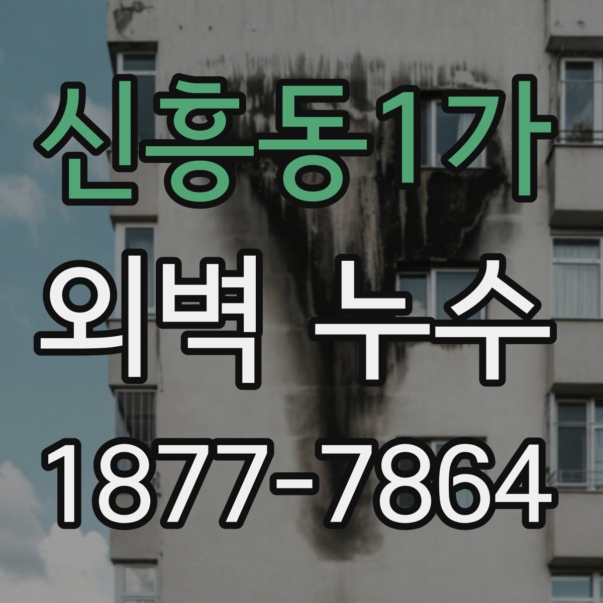 신흥동1가 외벽 누수