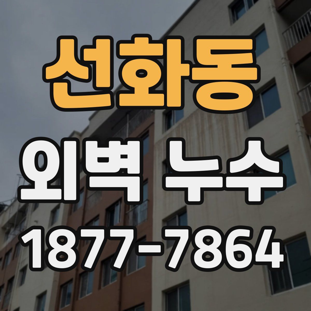 선화동 외벽 누수