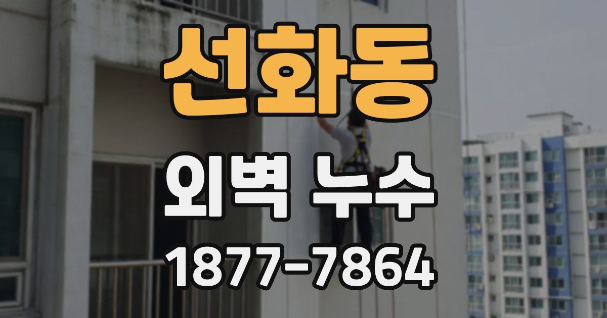 선화동 외벽 누수
