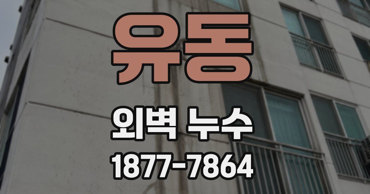 유동 외벽 누수