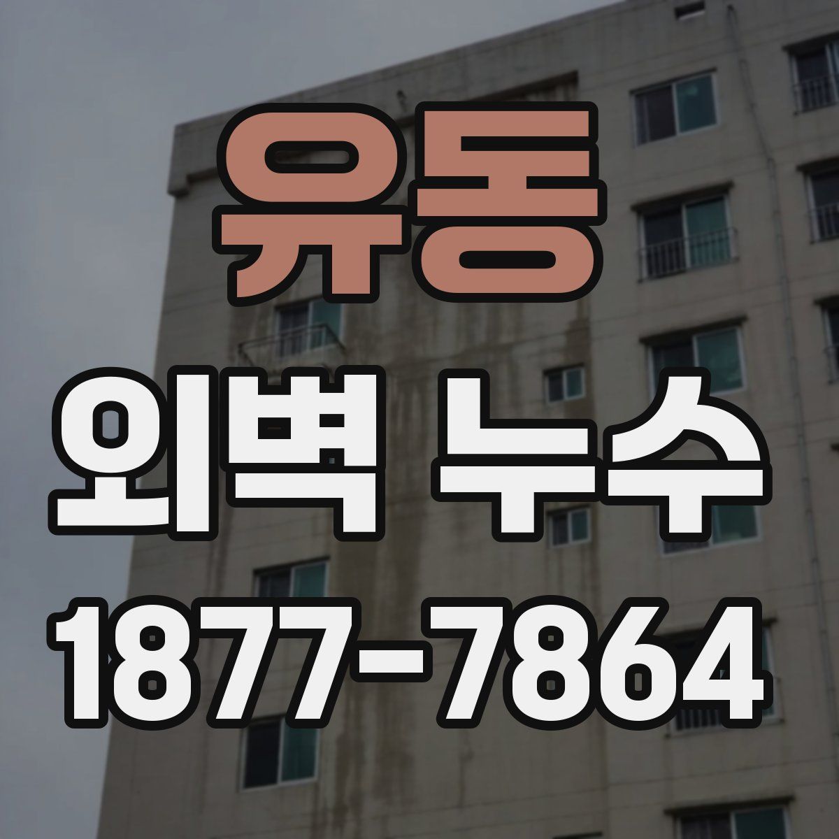 유동 외벽 누수