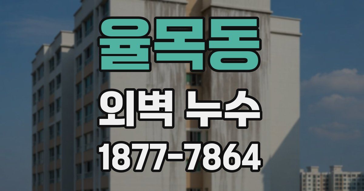 율목동 외벽 누수