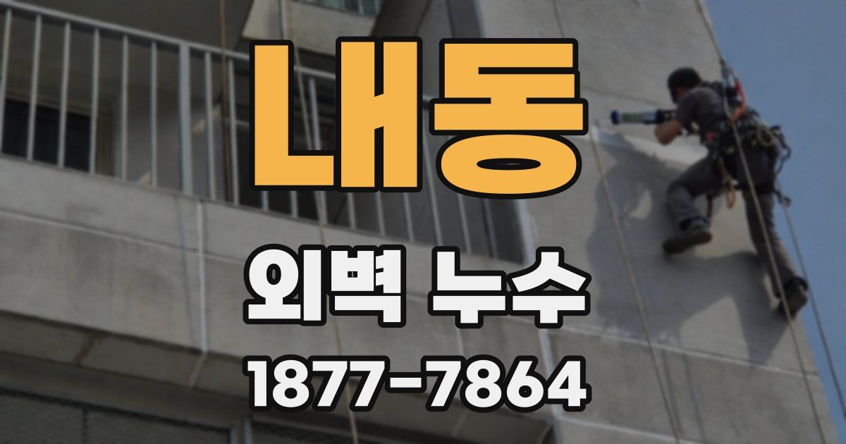 내동 외벽 누수