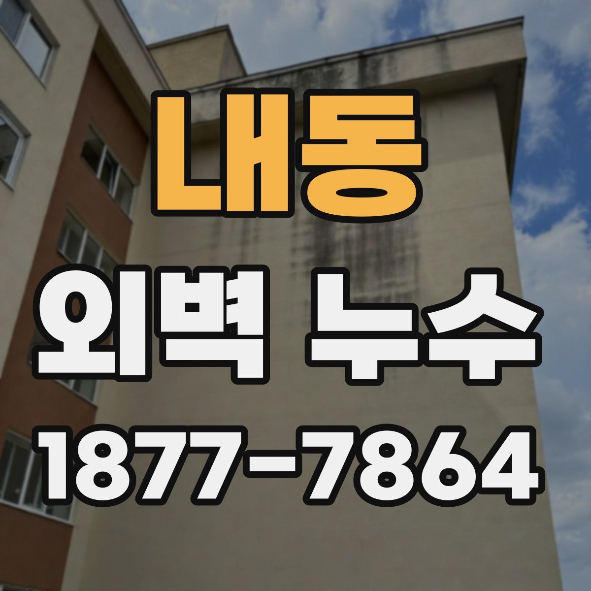 내동 외벽 누수