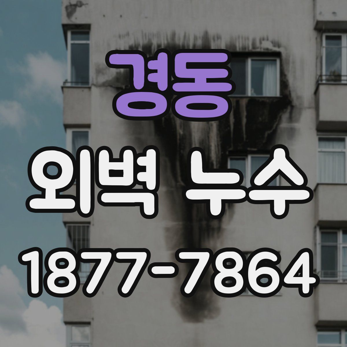 경동 외벽 누수