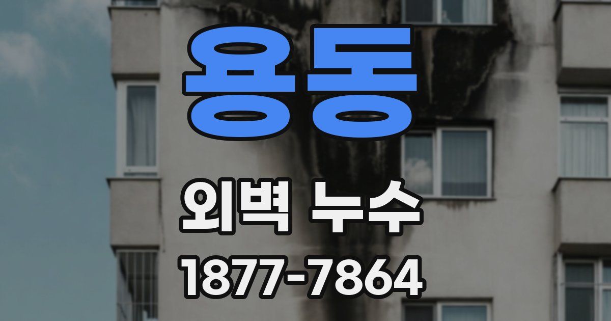 용동 외벽 누수