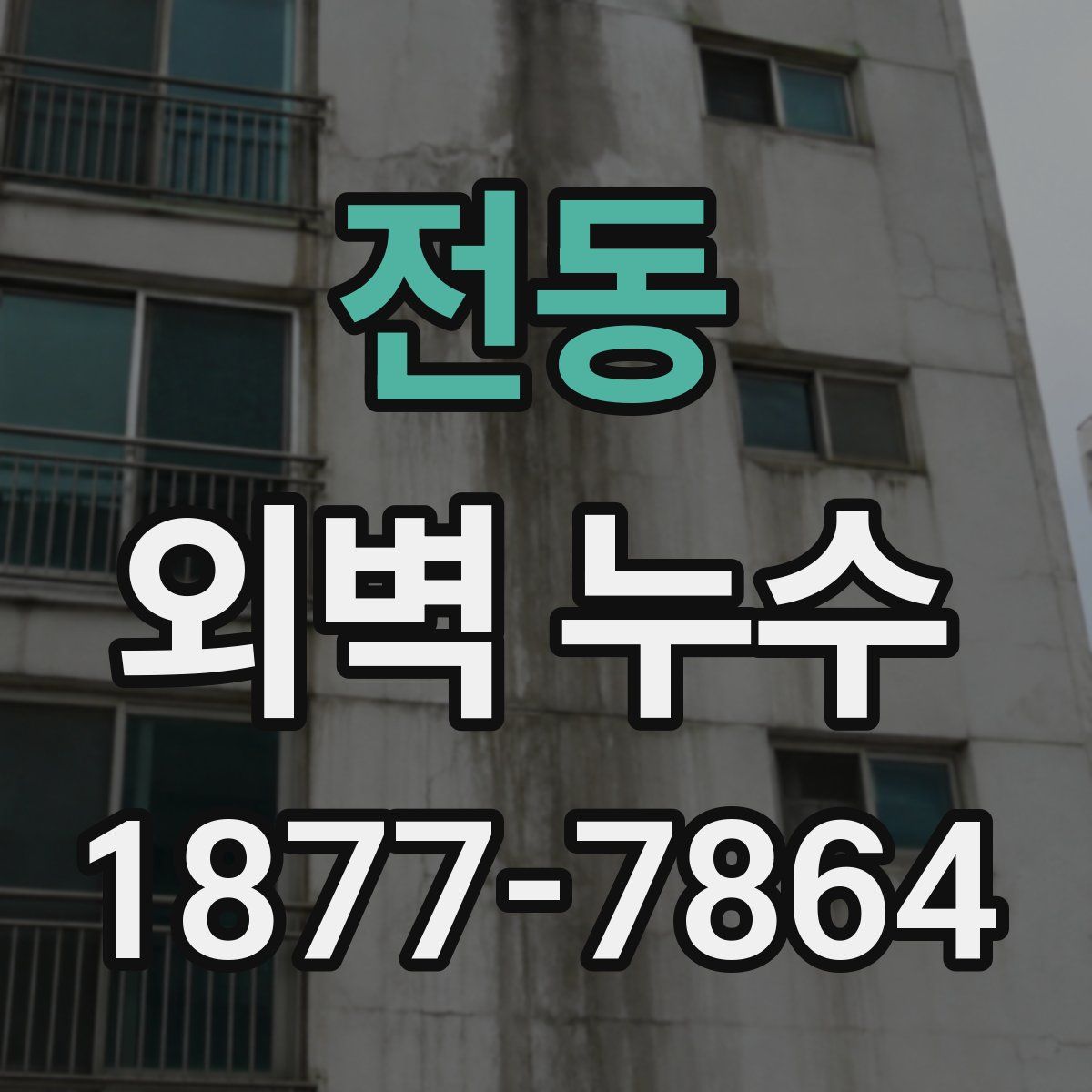 전동 외벽 누수