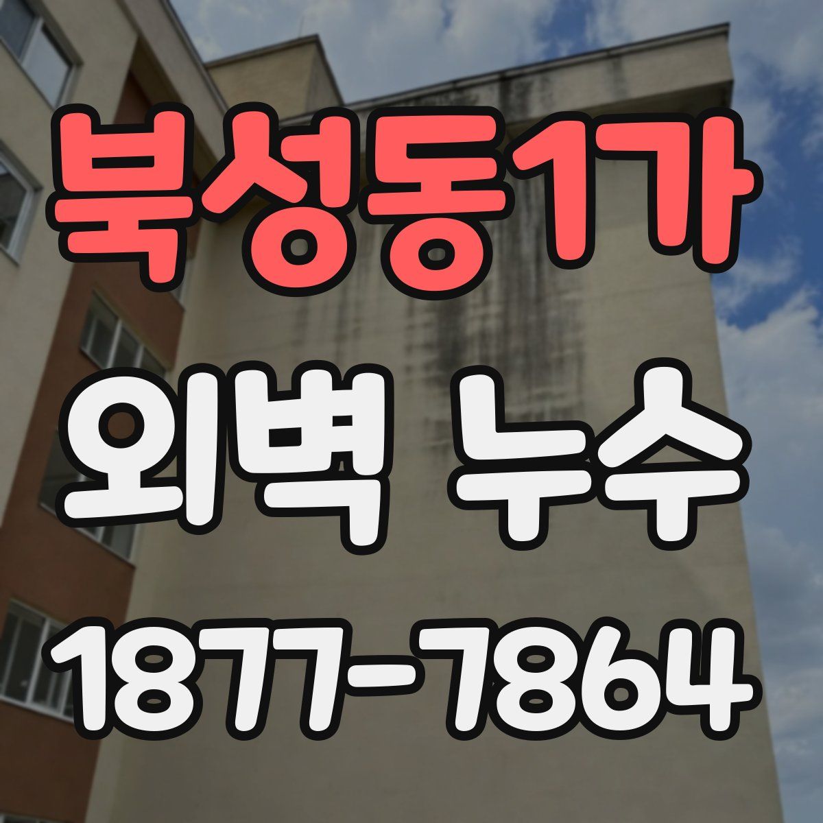 북성동1가 외벽 누수
