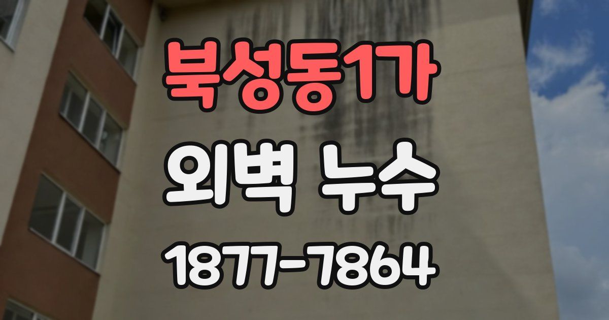 북성동1가 외벽 누수