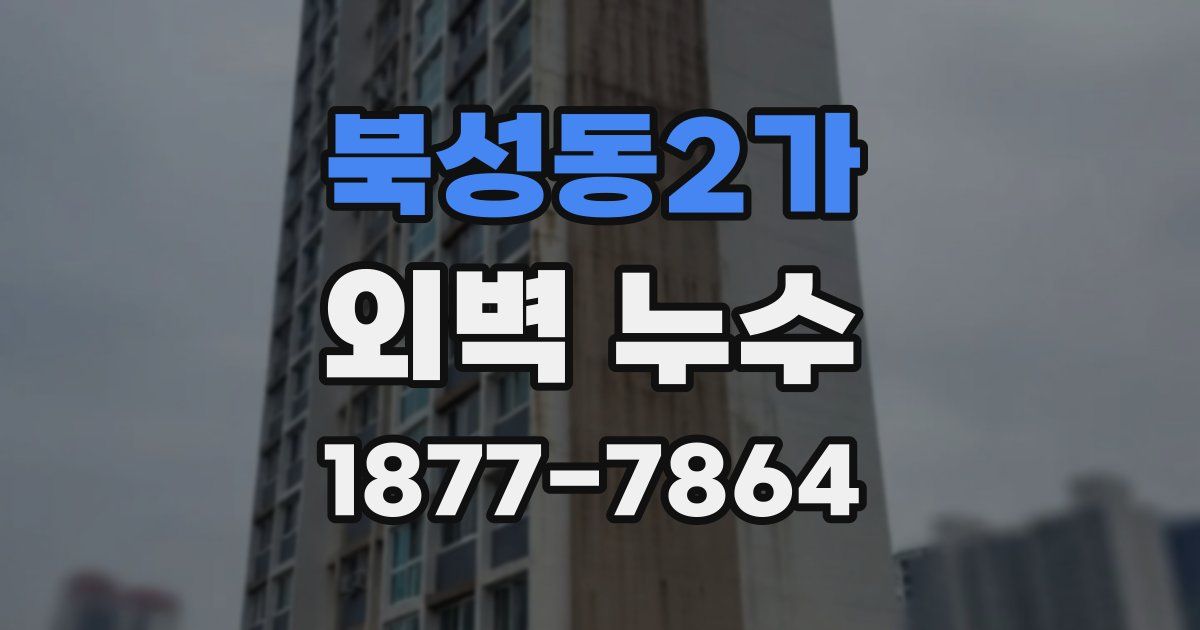 북성동2가 외벽 누수