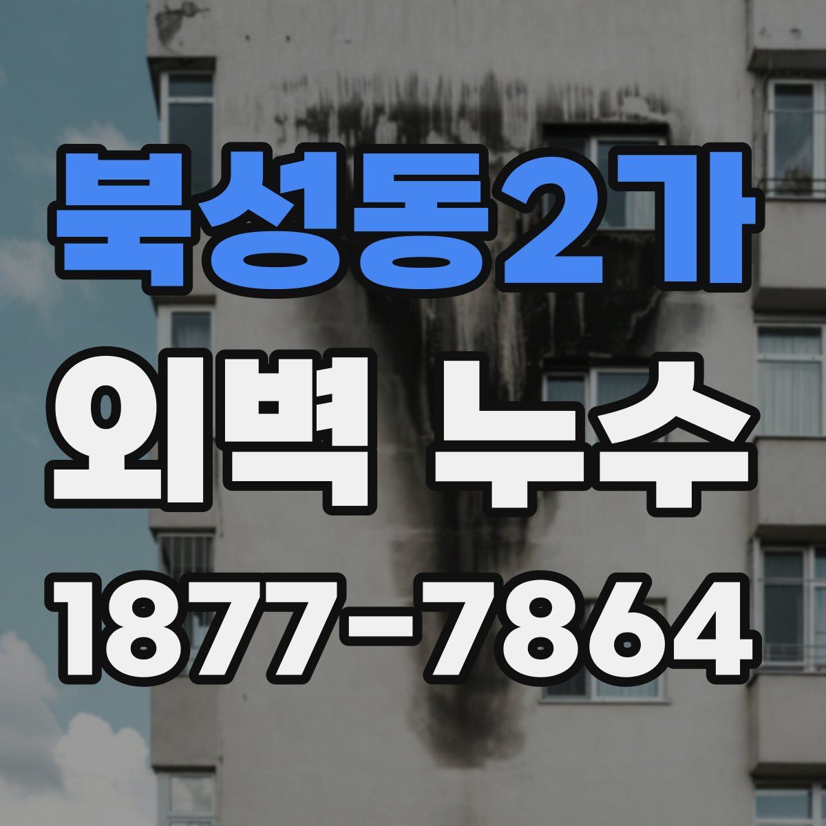 북성동2가 외벽 누수