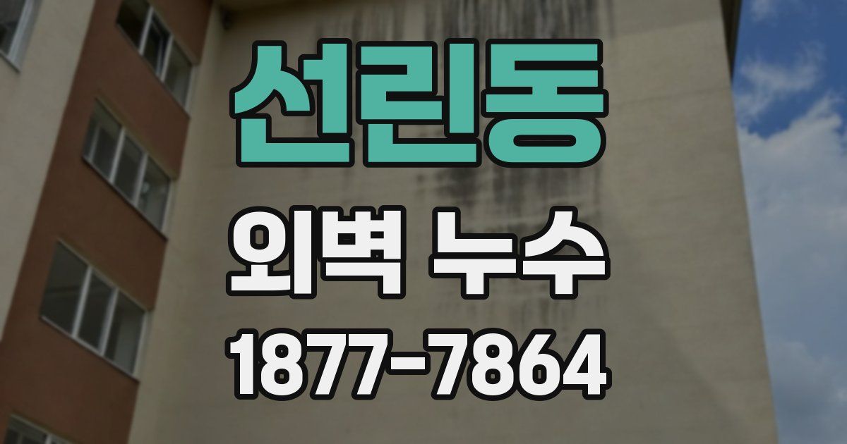 선린동 외벽 누수