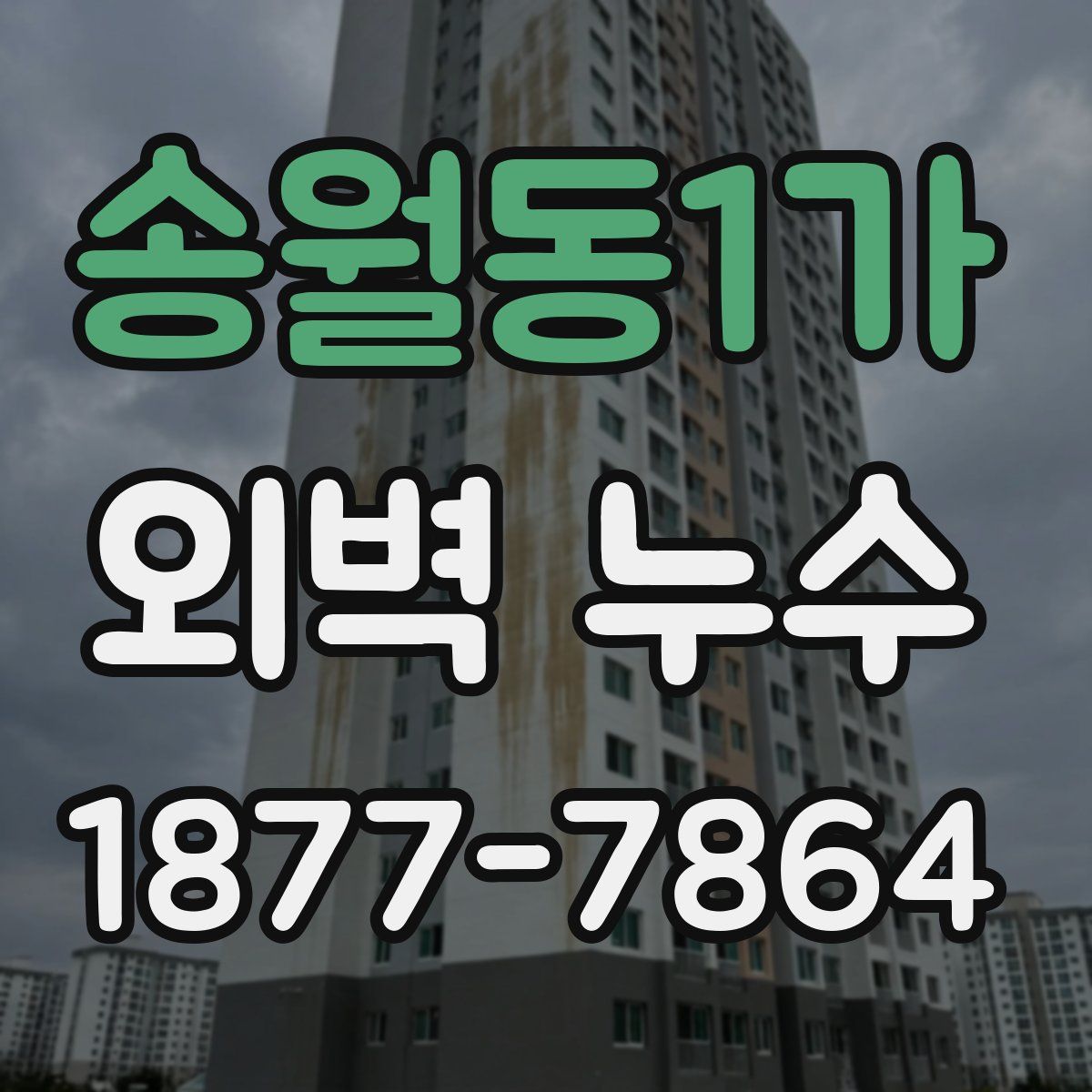 송월동1가 외벽 누수