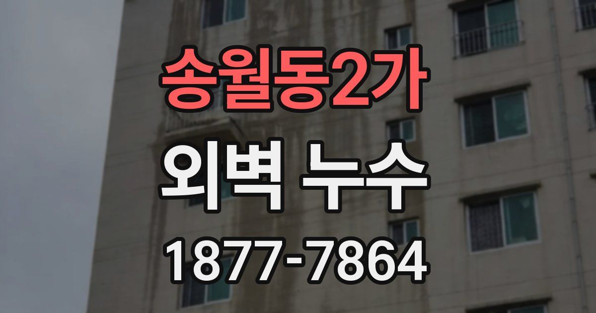 송월동2가 외벽 누수