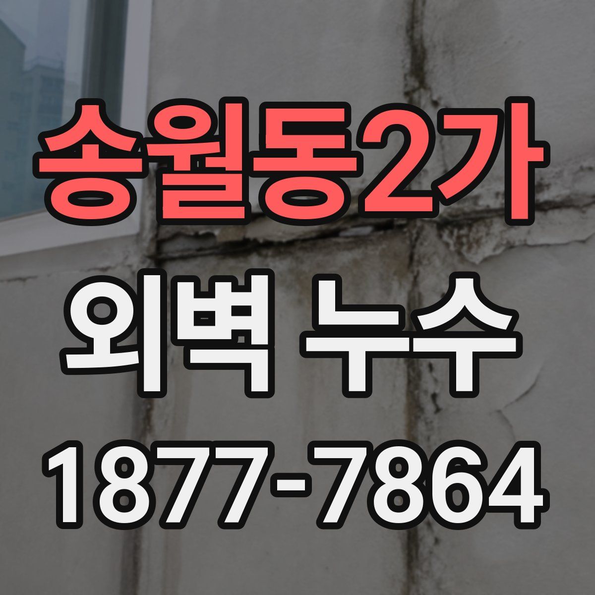 송월동2가 외벽 누수