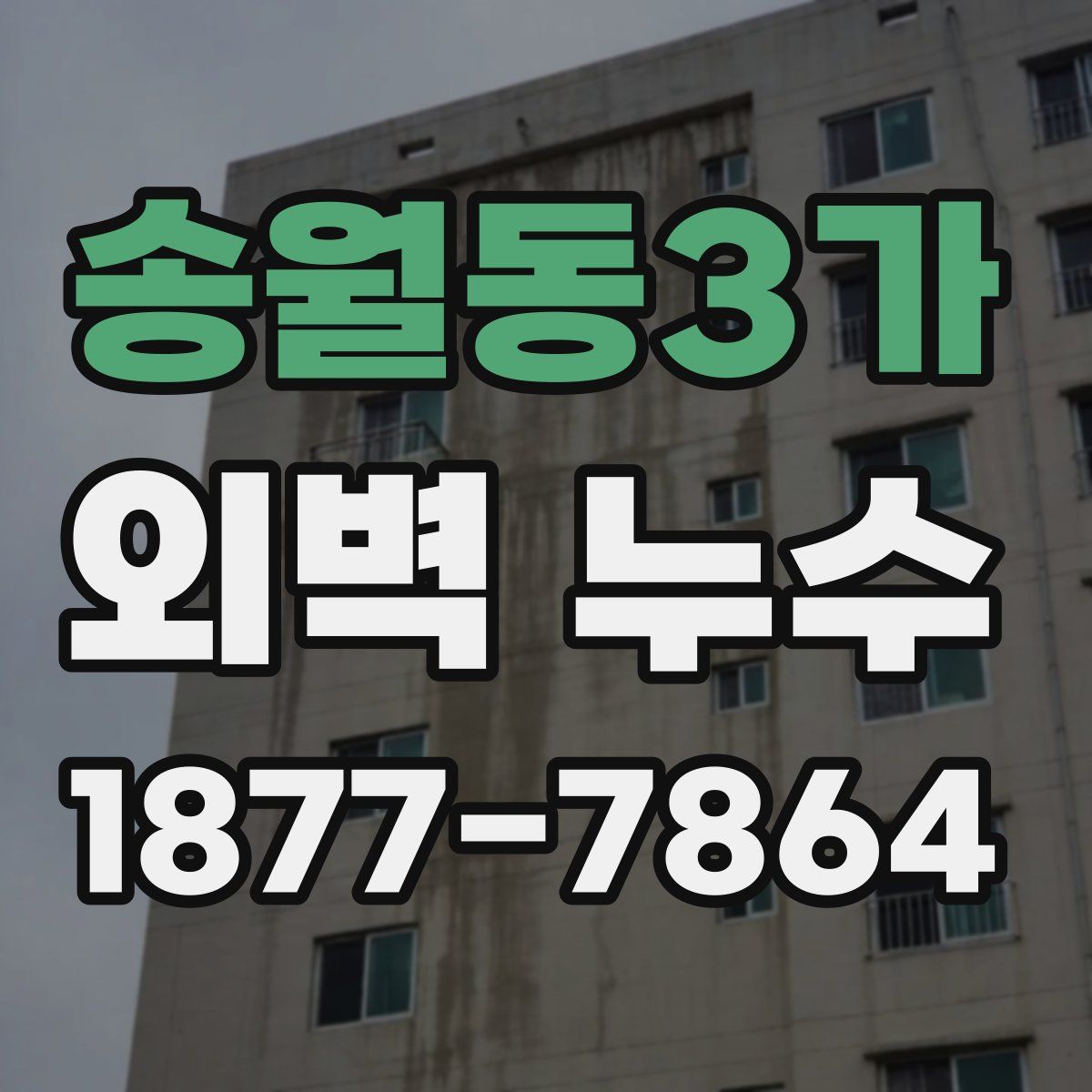 송월동3가 외벽 누수