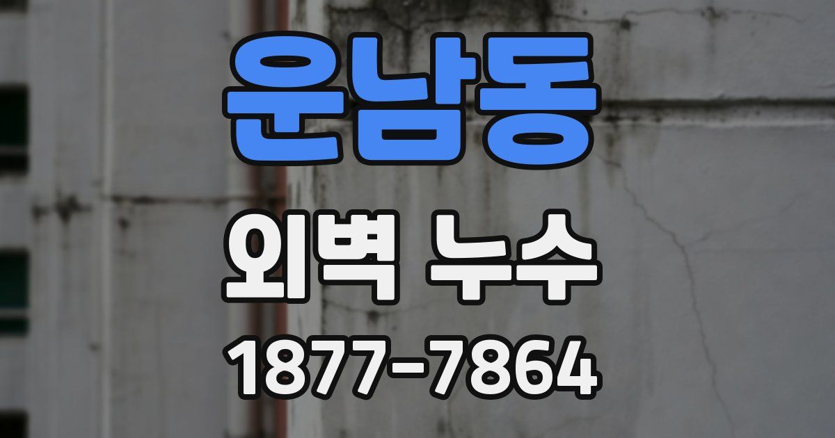 운남동 외벽 누수