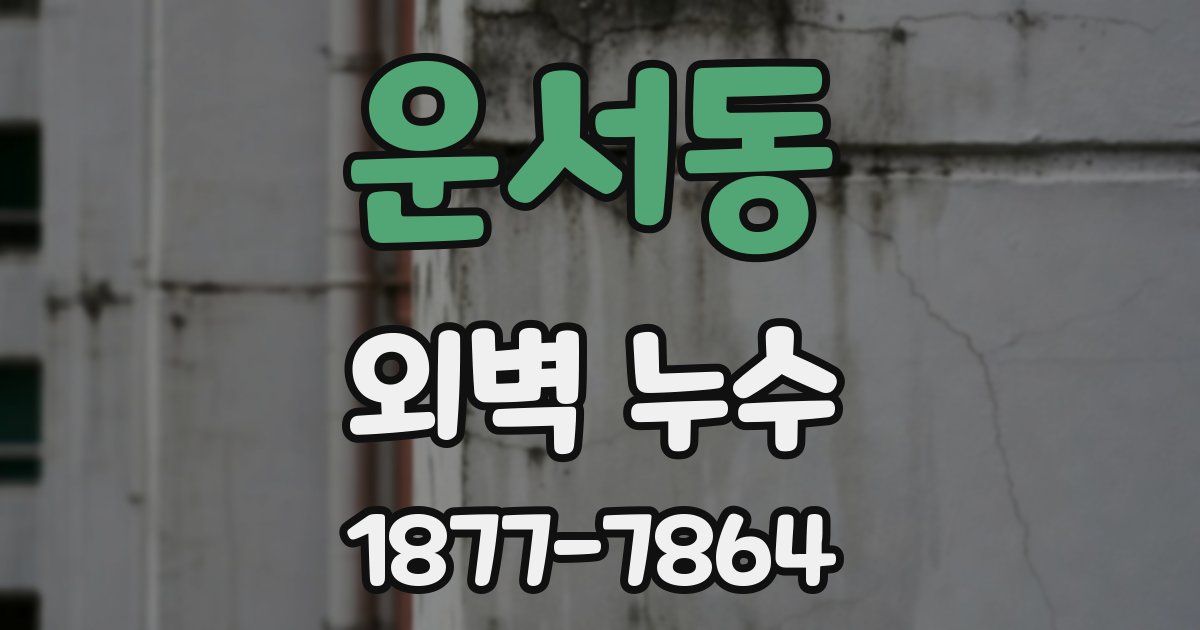 운서동 외벽 누수