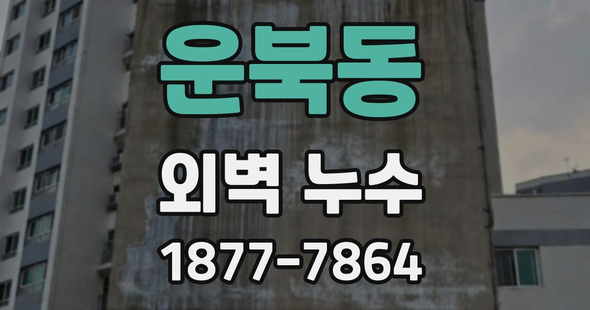 운북동 외벽 누수