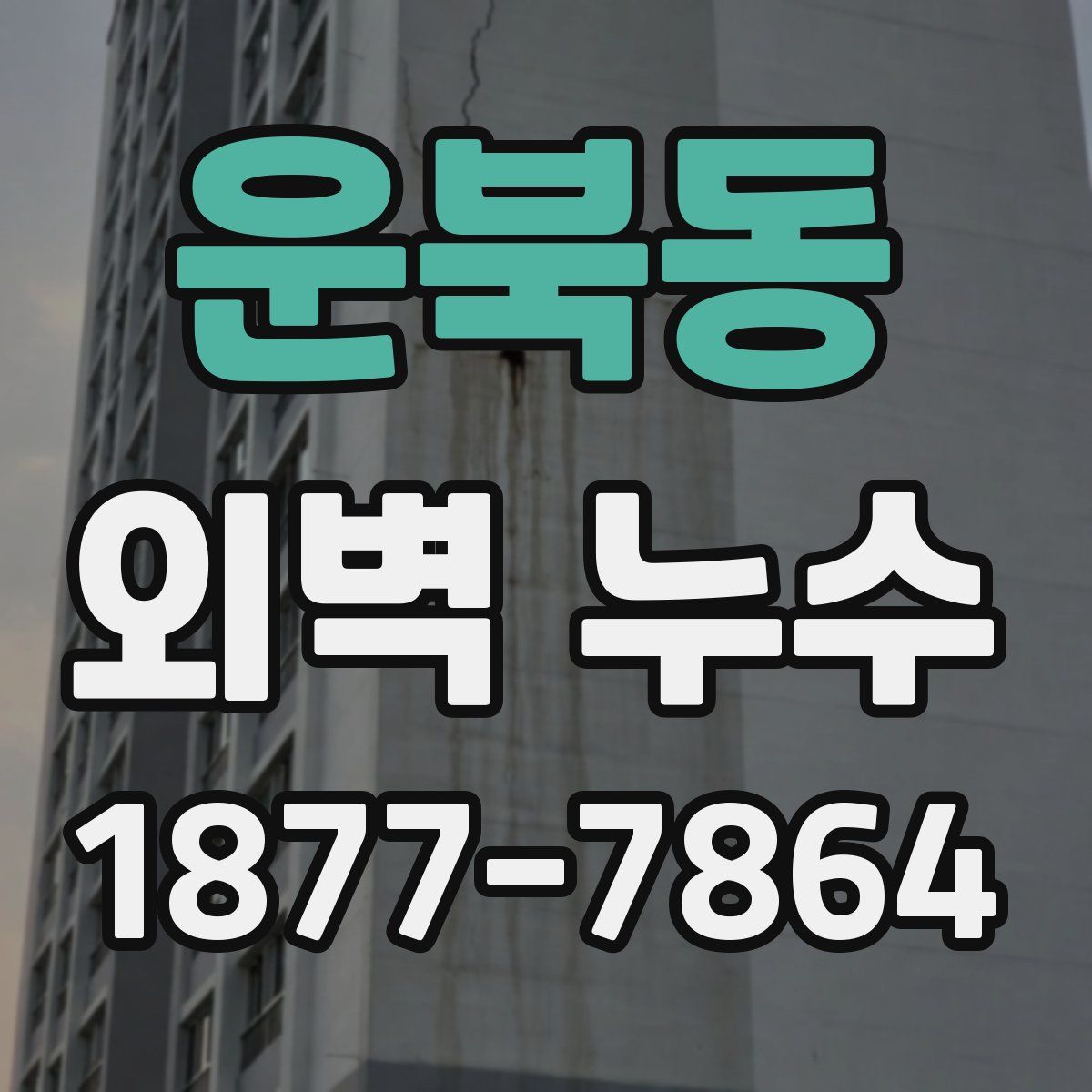 운북동 외벽 누수