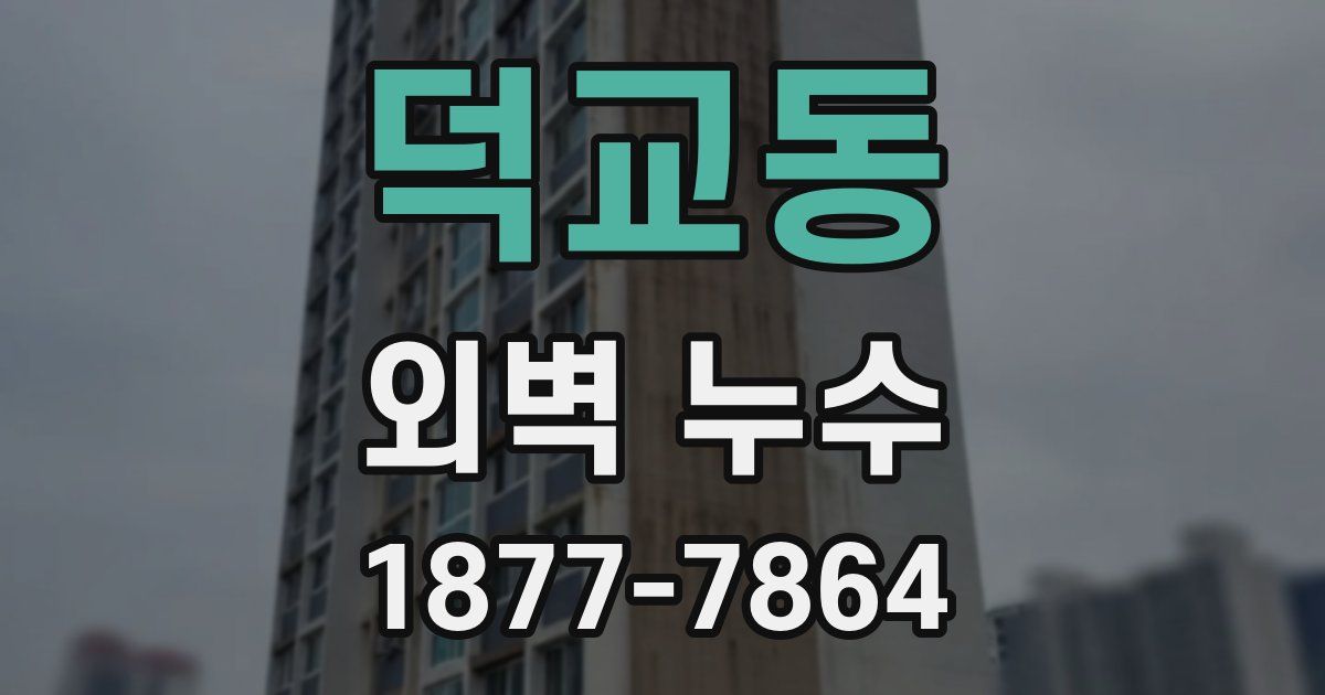 덕교동 외벽 누수