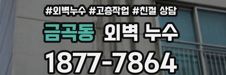 금곡동 외벽 누수