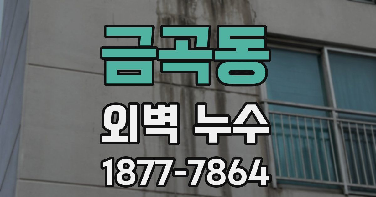 금곡동 외벽 누수