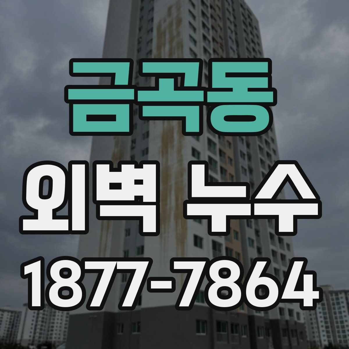 금곡동 외벽 누수
