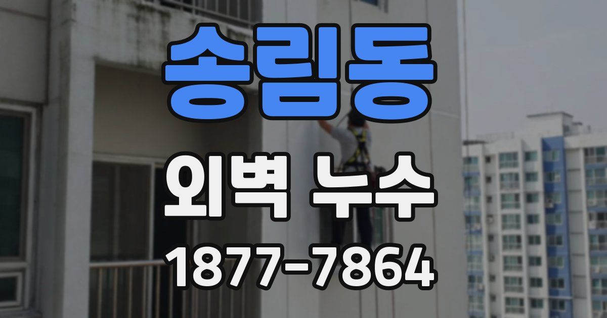 송림동 외벽 누수