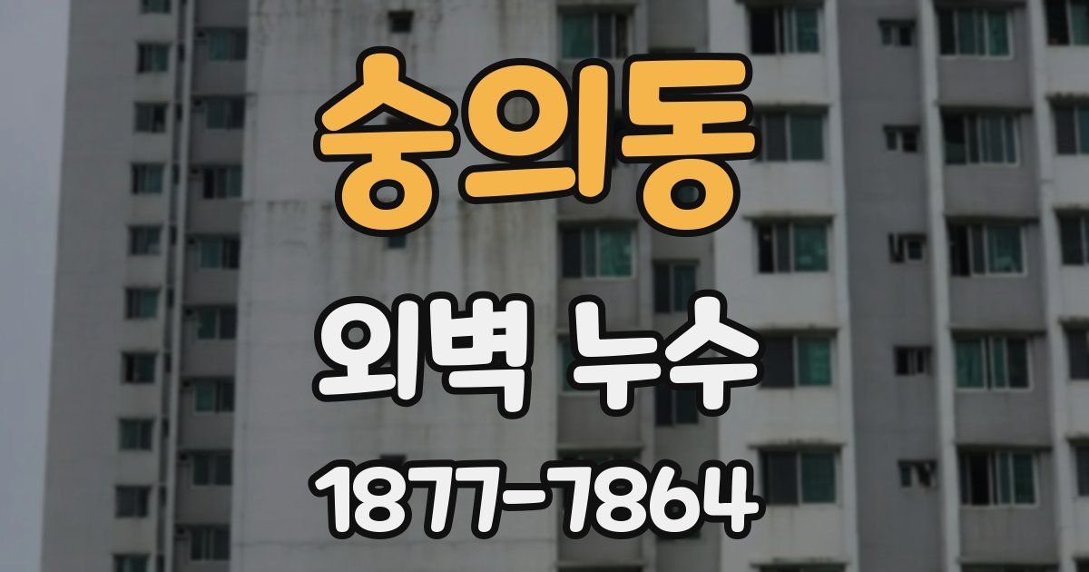 숭의동 외벽 누수