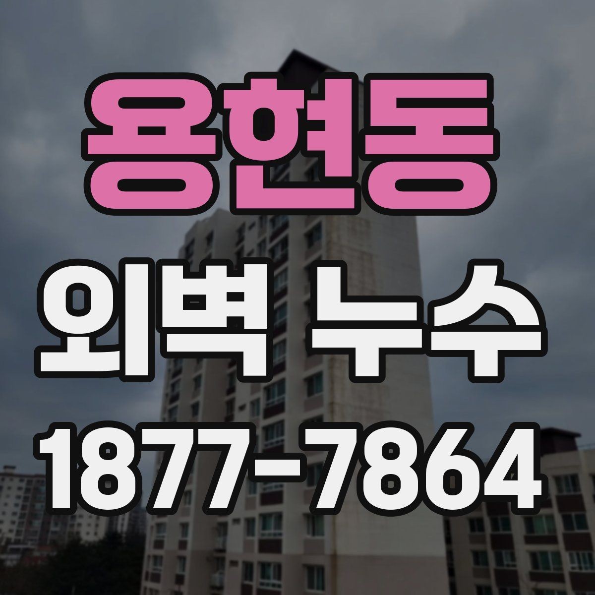 용현동 외벽 누수 의심 구간별 확인 순서