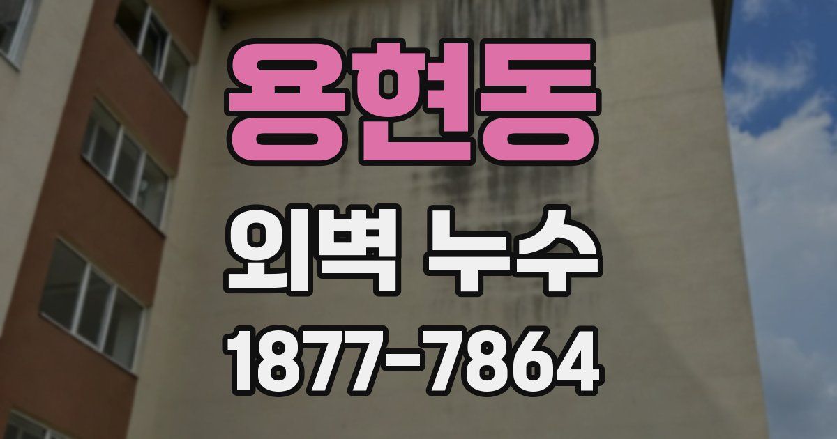 용현동 외벽 누수