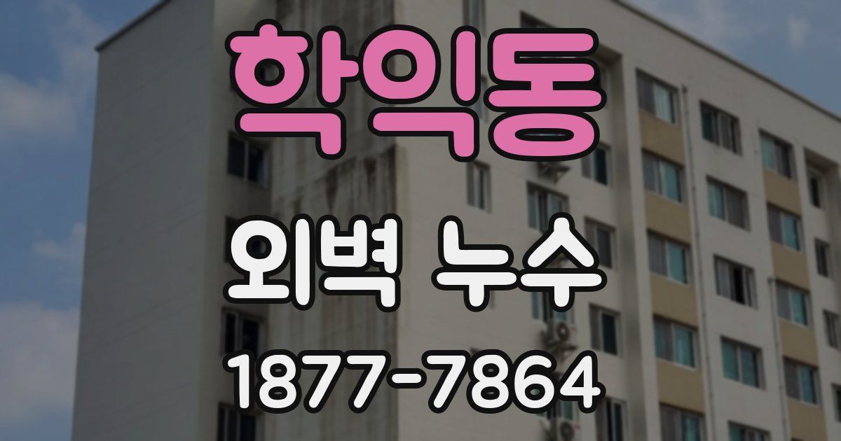 학익동 외벽 누수