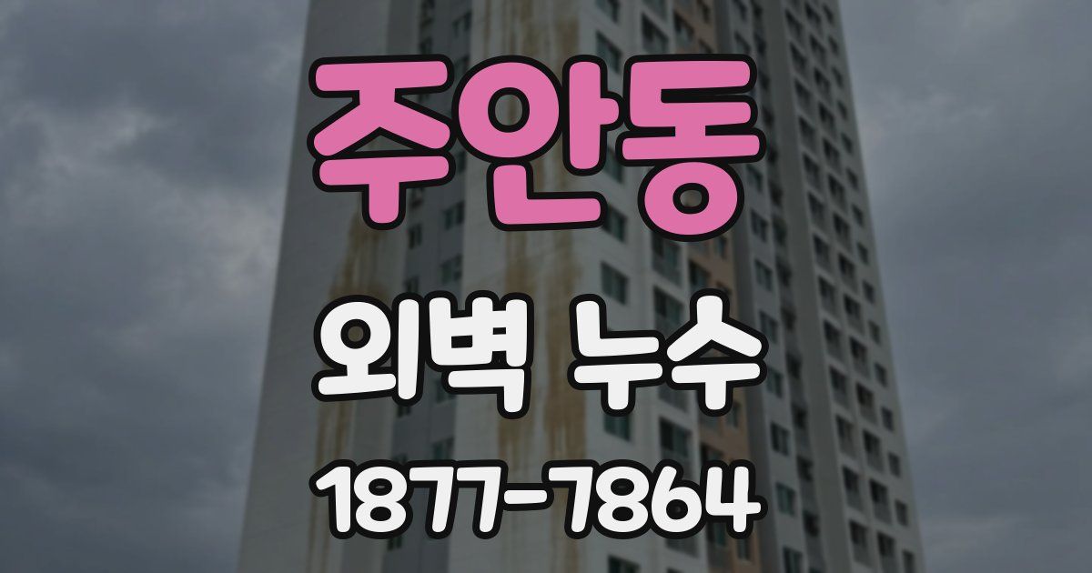 주안동 외벽 누수