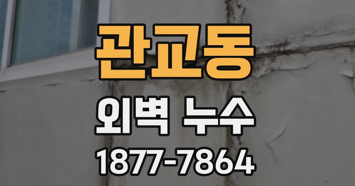 관교동 외벽 누수