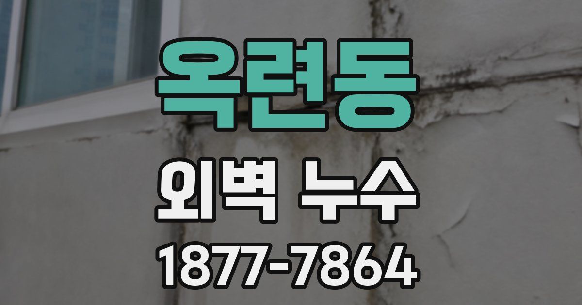 옥련동 외벽 누수