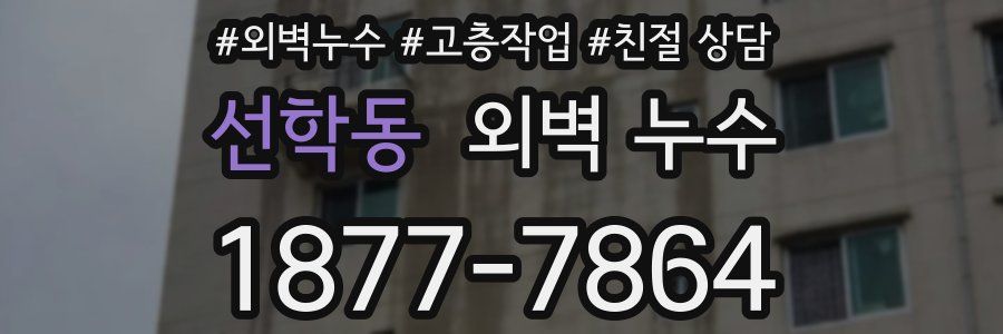 선학동 외벽 누수