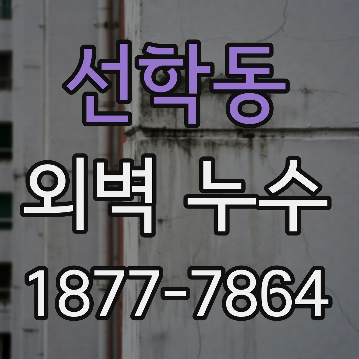 선학동 외벽 누수