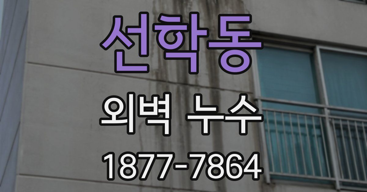선학동 외벽 누수