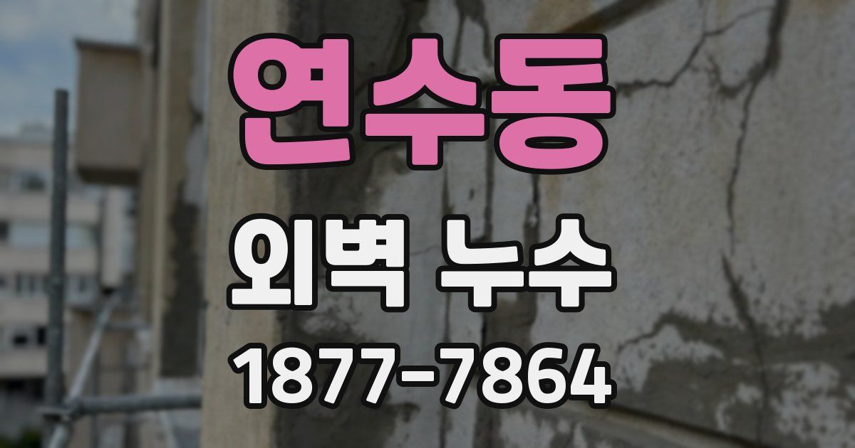 연수동 외벽 누수