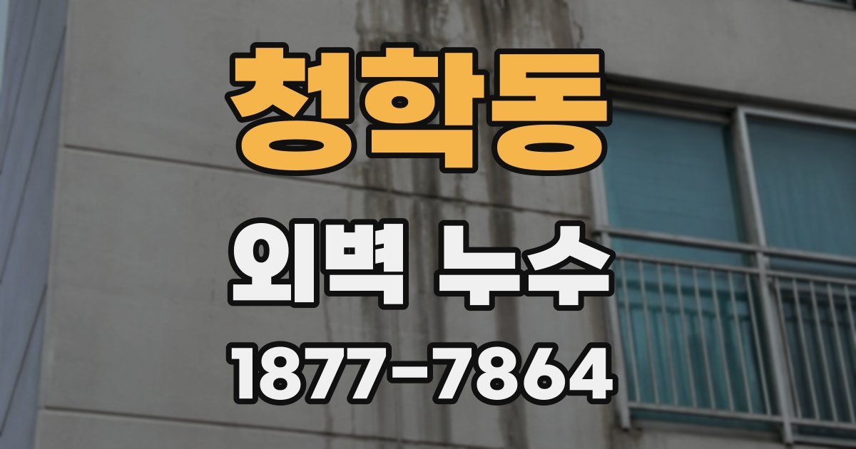 청학동 외벽 누수