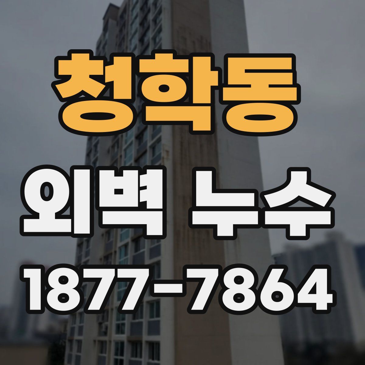 청학동 외벽 누수