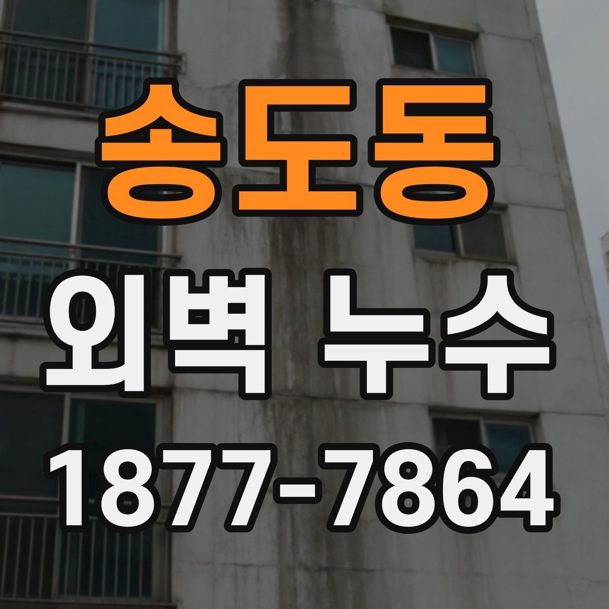 송도동 외벽 누수