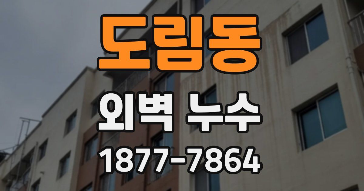도림동 외벽 누수