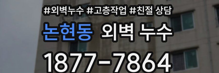 논현동 외벽 누수