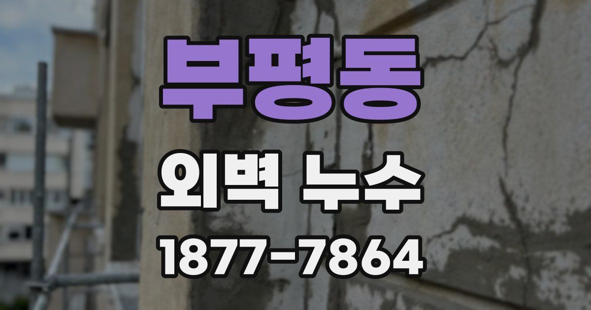 부평동 외벽 누수