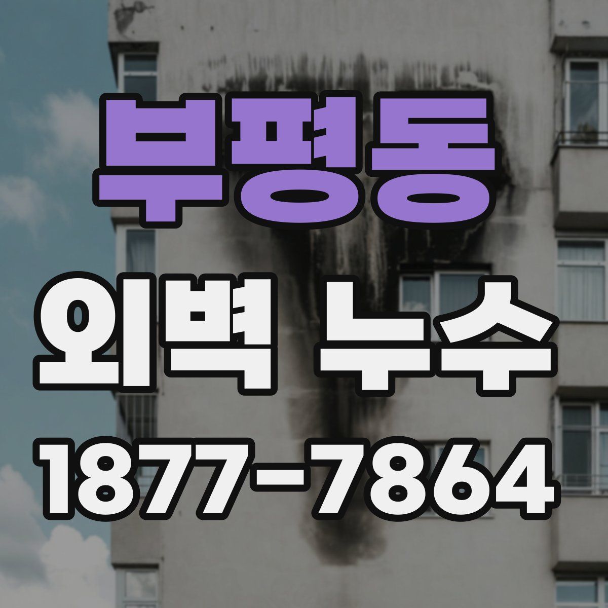 부평동 외벽 누수