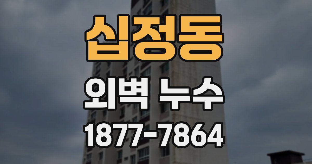 십정동 외벽 누수
